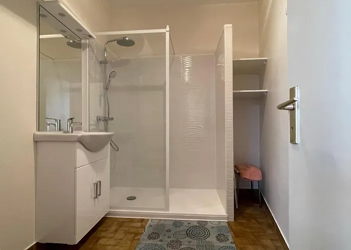 Spacieux Centre-ville, Animaux Acceptes - Fr-1-555-79 Apartment Aix-les-Bains